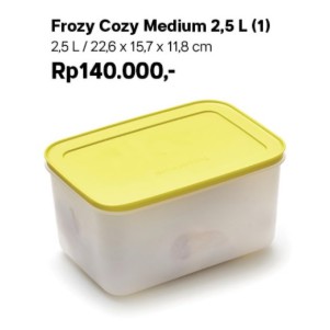 Tupperware Tempat Makan Frozy Cozy Medium 2,5 L