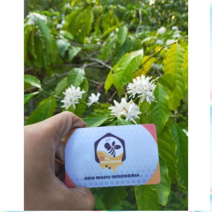 

Terbaru Baru 1kg Madu Murni 100 Asli Lebah Madu Sengon Madu Asli M