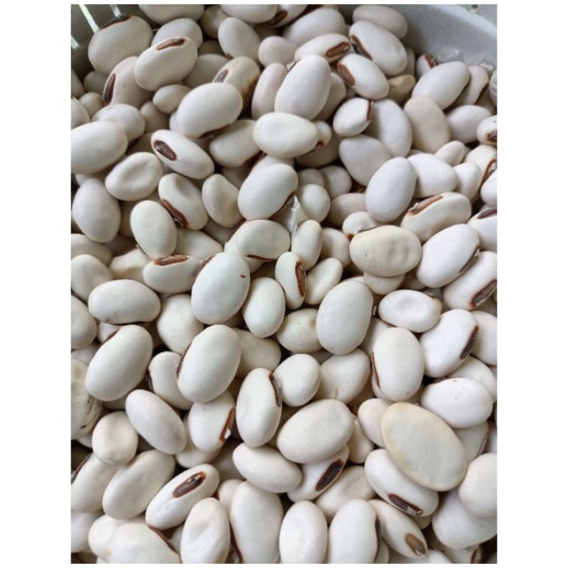 

Biji koro pedang 500 gram