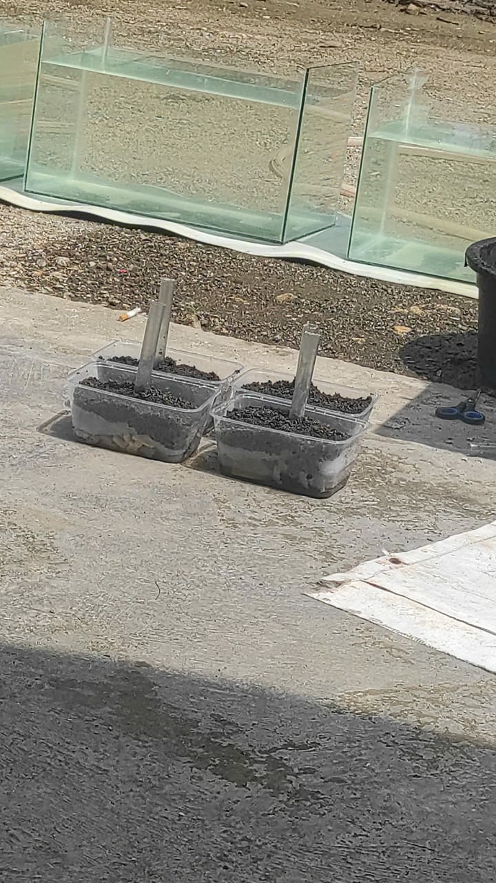 Kotak Makan Tahan Microwave | Thinwall 1000ml Food Container | Tempat Kotak Makanan Plastik