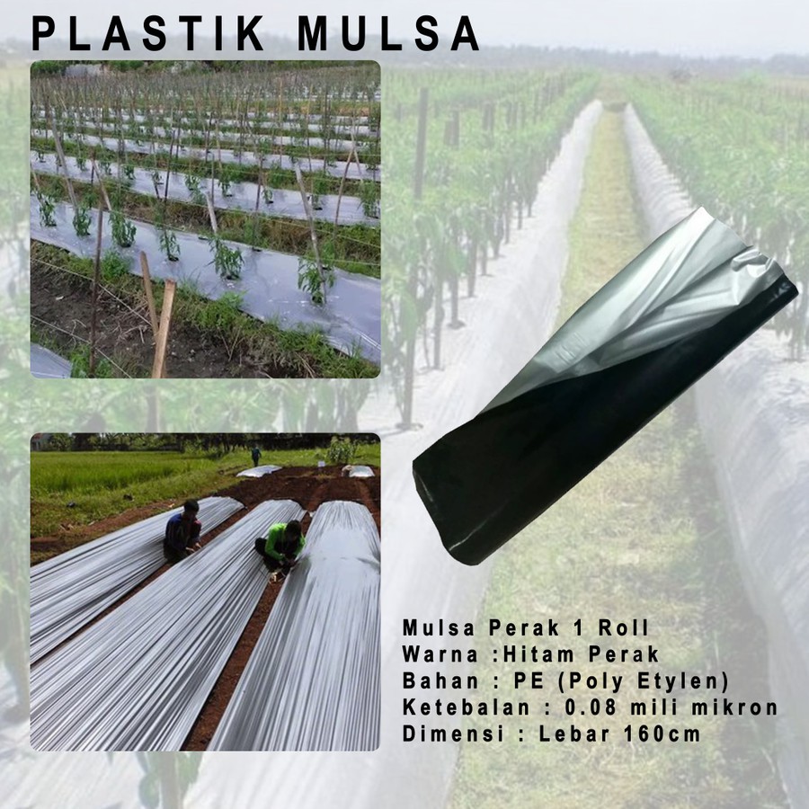 Plastik Mulsa Hitam Perak Tebal 0.08mm - Lebar 160cm pertanian sawah kebun tanah hitam perak packing