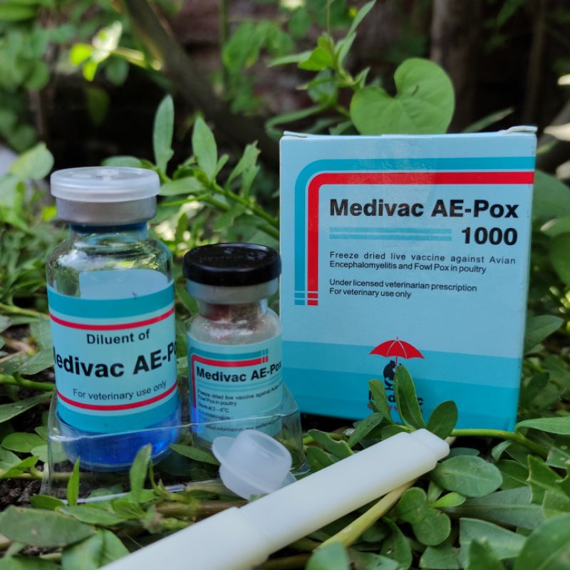Vaksin Medivac AE POX Dosis 1000 Vaksin Ayam Mencegah Penyakit AE dan Cacar POX Pembibit & Petelur