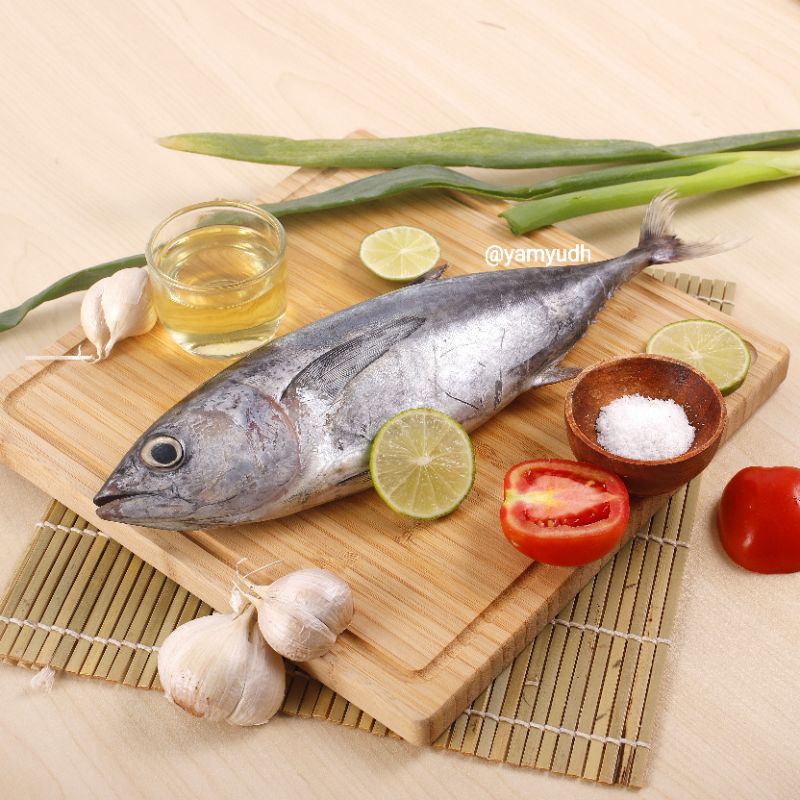

Ikan Baby Tuna/tuna segaar 1 kg