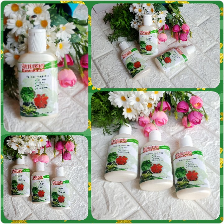 Air Kilap Daun Oles Pupuk Daun Leafshine Super Fresh  Pengkilap Pengkilat Daun Anthurium Aglonema