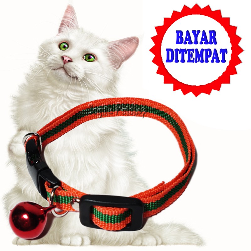 KALUNG KUCING MOTIP GARIS MUSANG MONYET ANJING