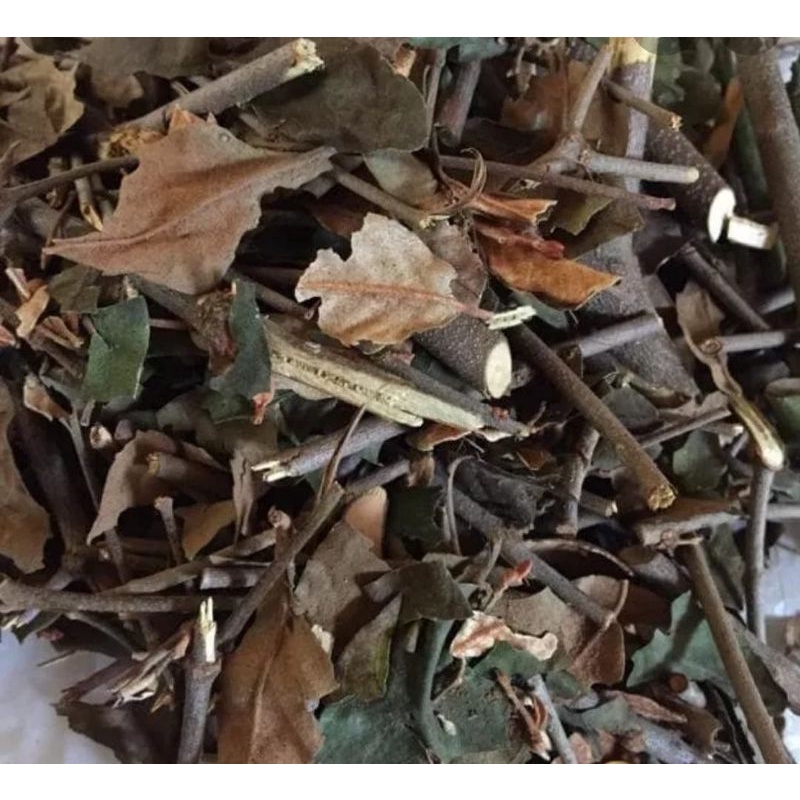 

BENALU KOPI KERING ASLI 1.KG