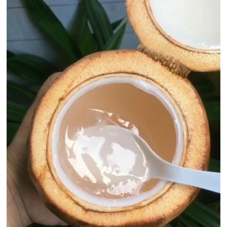 

Puding Kelapa ( toping Original & Anekabuah )