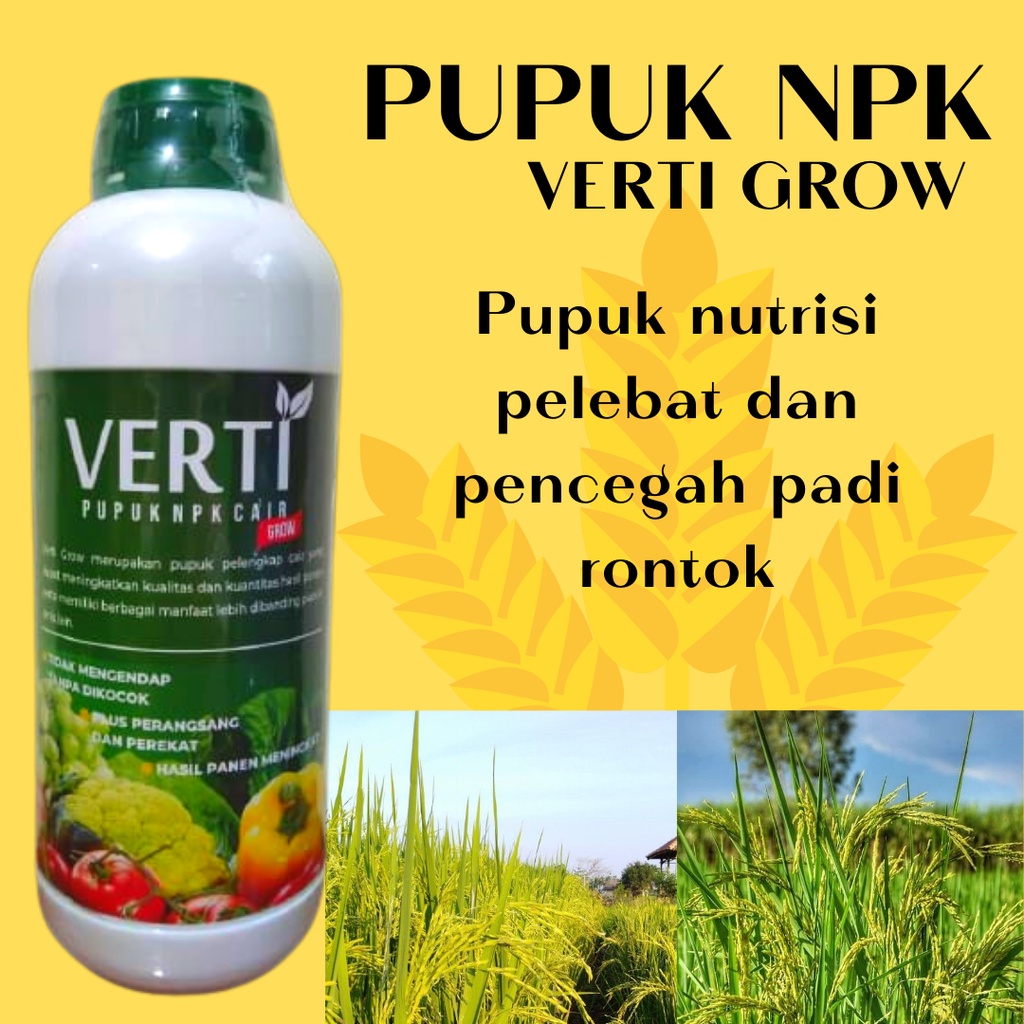 Pupuk Anakan Padi Verti Grow, Pupuk NPK Cair Obat Semprot Yang Bagus Untuk Tanaman Padi