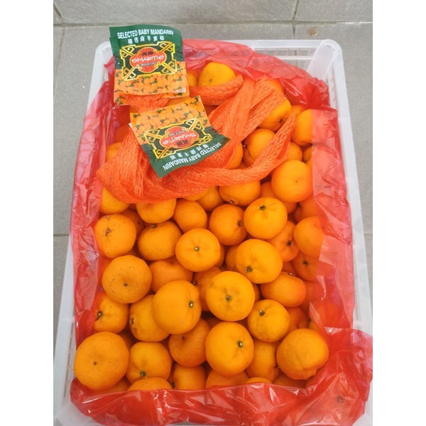 

Jeruk Shantang Nanfeng (6.5Kg) Fresh Import