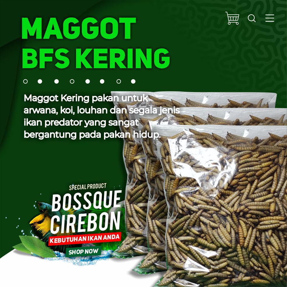 Maggot BSF Kering Magot Dry Maggot Pakan Ikan Terbaik Tidak Berminyak Kualitas Terbaik 1 Kg