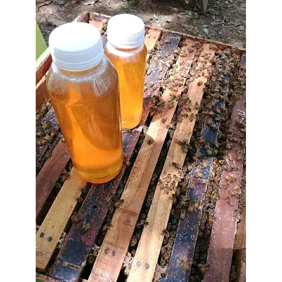 

MADU_100%MURNI
