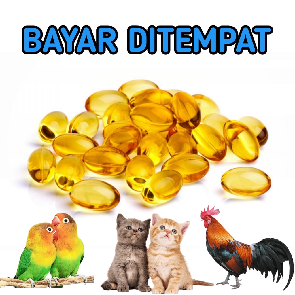 MINYAK IKAN KUCING 30 BUTIR,, 60 BUTIR, 100 BUTIR VITAMIN UNTUK KUCING ANJING KELINCI HAMSTER BURUNG DAN PELIHARAAN LAINNYA