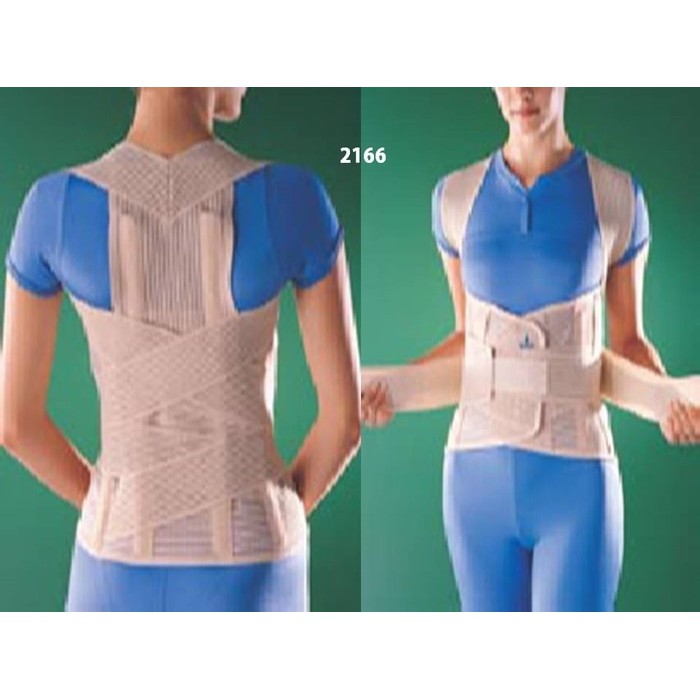 Korset Penyangga Punggung / Spinal Brace Oppo 2166 / Seperti Babaka U9