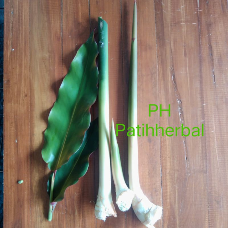

Honye Muda Segar/Kecombrang Muda Pelengkap Sayuran/Pelengkap Rujak/Sambal