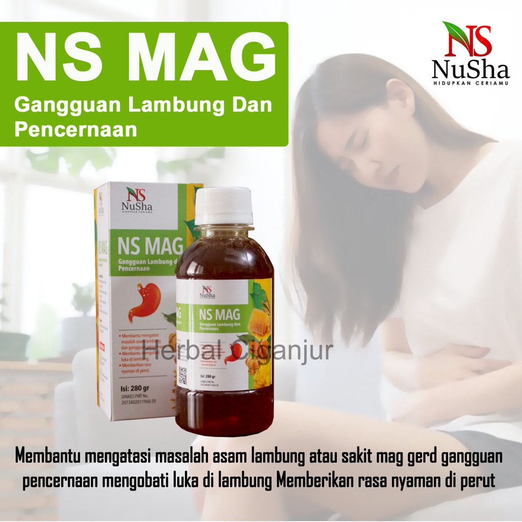 Madu Maag NS MAG (6 in 1) Asli Mengobati Sakit Maag Asam Lambung Gerd Mual Kembung 280 gr