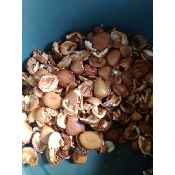 

Keluwak,kelewek, buah picung 1kg