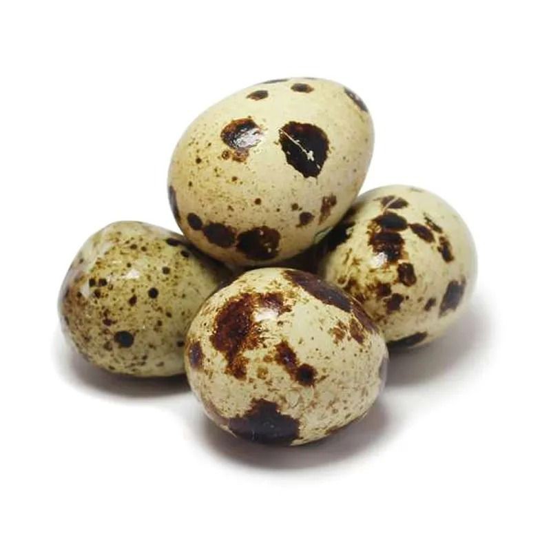 

Telur Puyuh 1 pack 45 butir