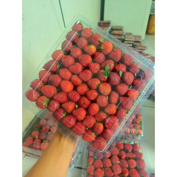 

Strawberry Fresh