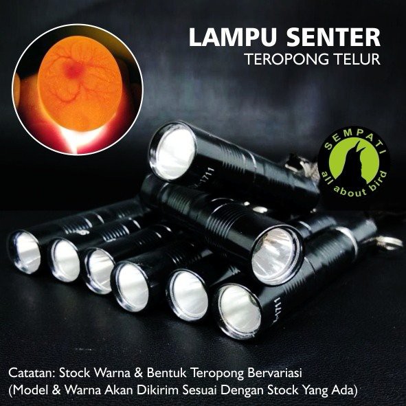 LAMPU SENTER TEROPONG TELUR BURUNG MURAI KACER KENARI LOVEBIRD CUCAK DLL