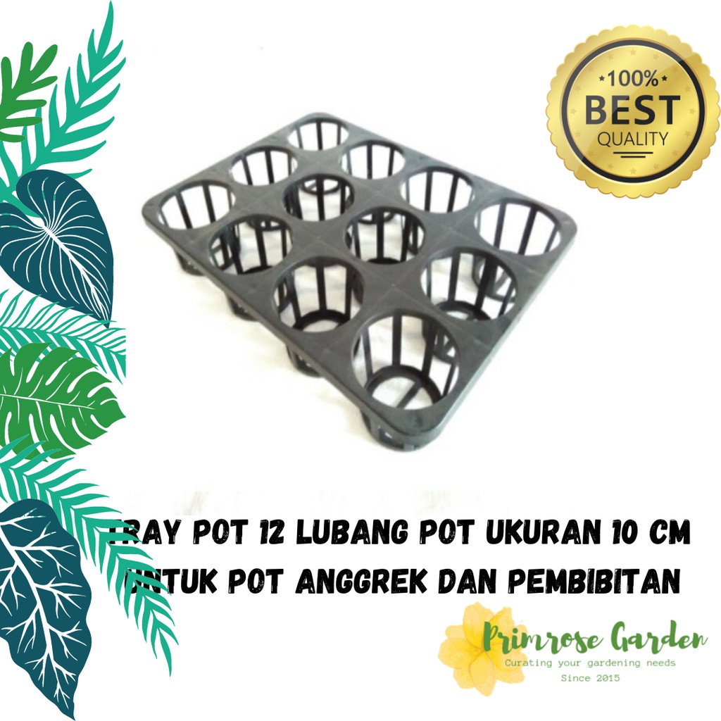 TRAY 12 LUBANG BUAT POT 10 CM
