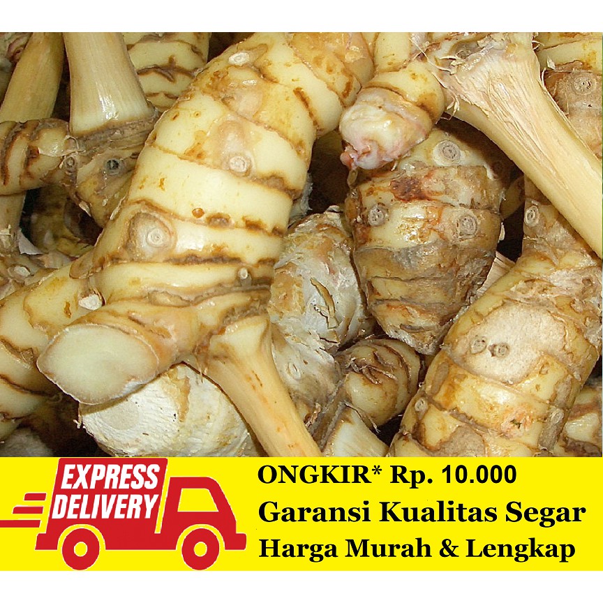 

Lengkuas Segar 250 gram