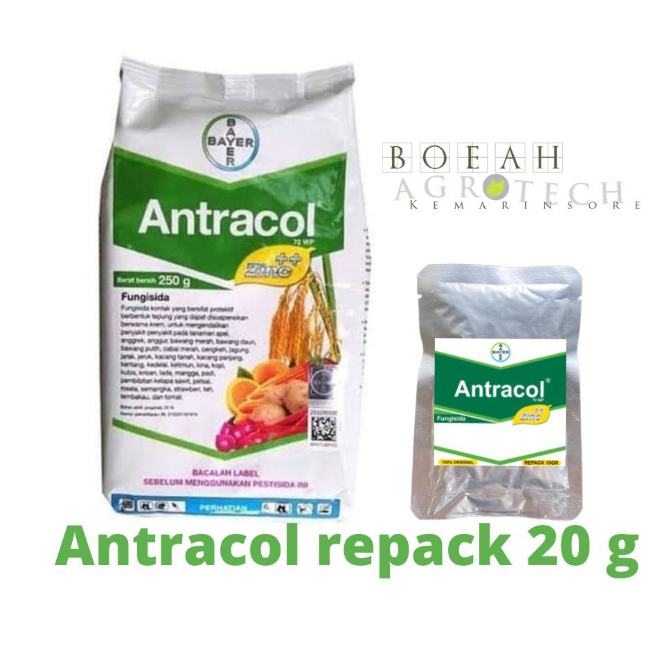 Fungisida Antracol 70 WP Repack 20 g untuk Mencegah Terjadinya Serangan Penyakit