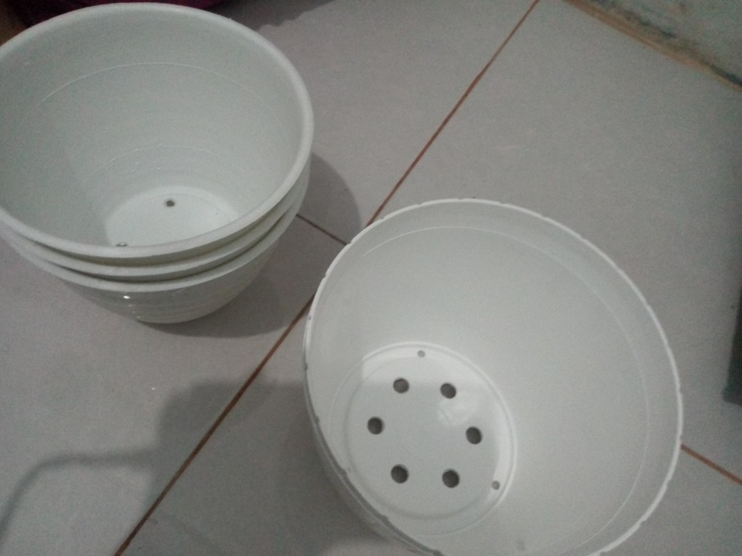 Pot Lavenia 18 Pg-8832 Warna Warni