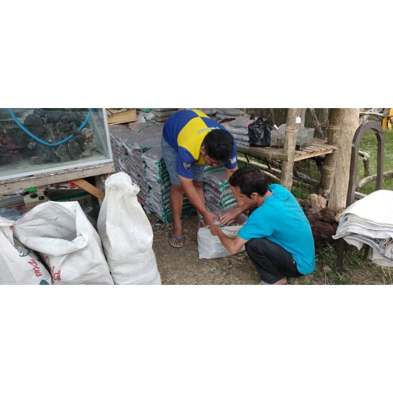 Pasir Merah Halus Premium