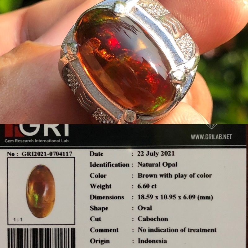Brown Opal Kalimaya Teh Banten Jarong