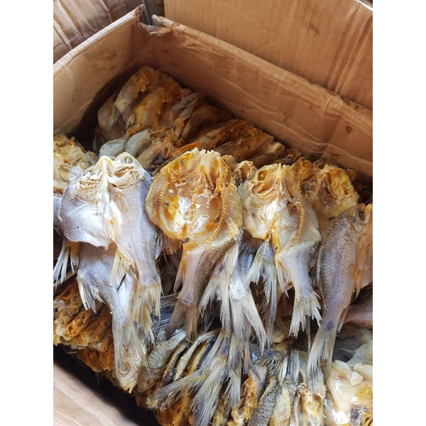 

Ikan Asin/Kering Puyau Belah (RB)