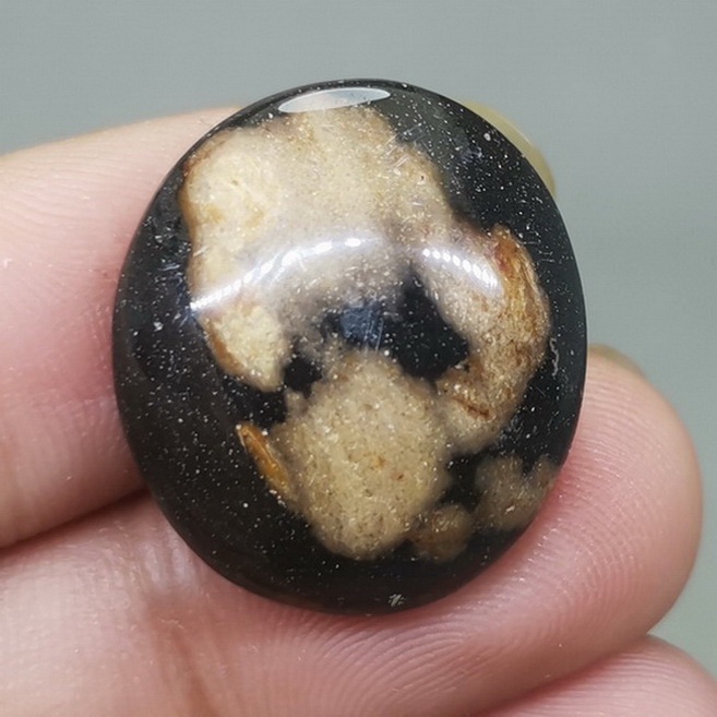 Batu Akik Galih Kelor Asli Hitam Coklat