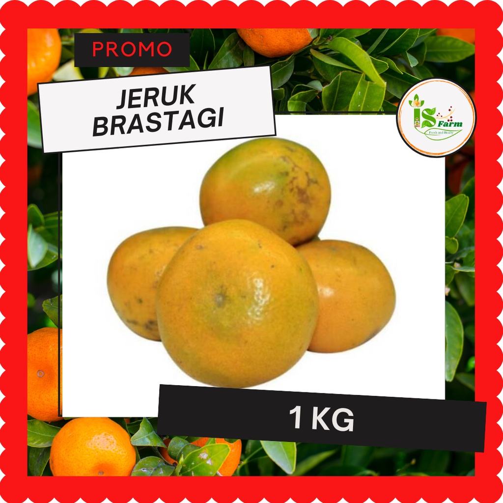 

Jeruk brastagi 1kg