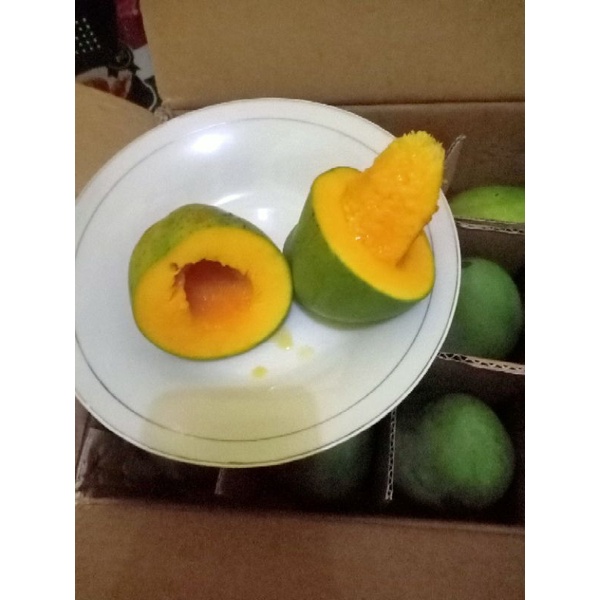 

Mangga Alpukat