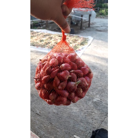 

Bawang Merah