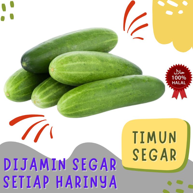 

Timun Segar 1000gr / 1kg