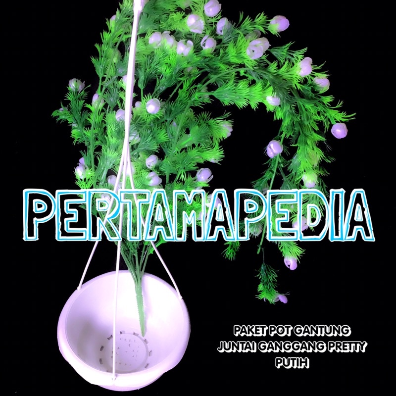 PAKET JUNTAI GANGGANG PRETTY PRITI+POT GANTUNG/Bunga Plastik/Daun Rambat Plastik/Busa Bunga/Dekorasi-4