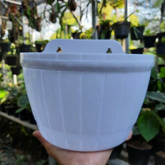 Pot Tempel Dinding Lovenia 27 Gentong Putih / Pot Bunga
