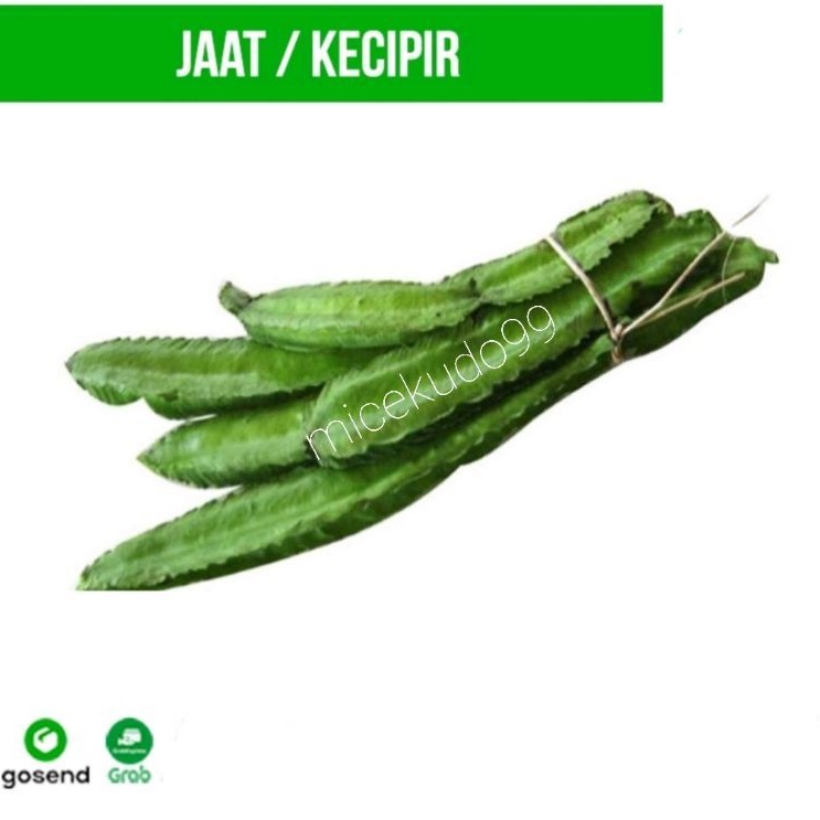 

SAYUR KECIPIR ORGANIK SEGAR / WINGED BEAN FRESH / JAAT CIPIR