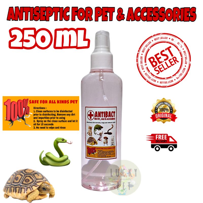 ANTIBACT Antiseptik antiseptic desinfektan kandang reptile hewan kura kura darat sulcata sulkata torto tortoise ular kadal pembersih antiseptik kandang reptile tortoise kura kura kucing anjing kelinci-1
