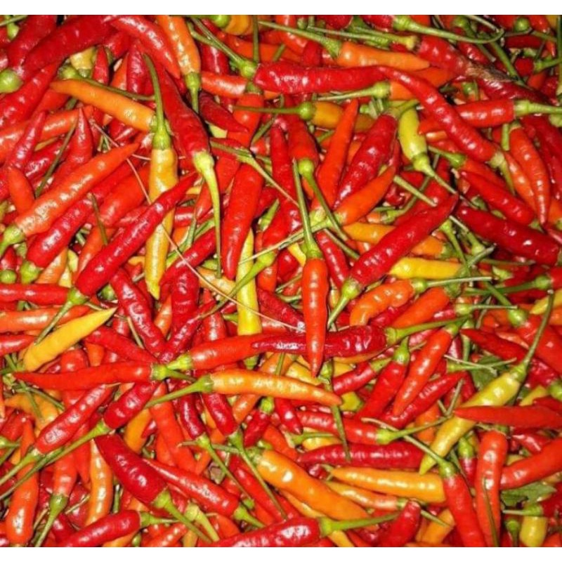 

cabe rawit merah 250gram
