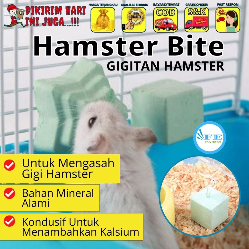 Gnawing Stone Hamster Batu Mineral Gigitan Hamster Sugar Glider Kelinci Chincila FEFARM