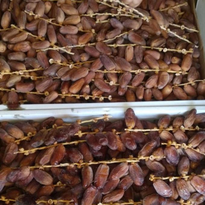 

TERLARIS kurma tangkai algeria 500gr/KURMA 1KG/KURMA BARARI/KURMA RUTHOB/KURMA BAM/KURMA PALM FRUIT/KURMA TANGKAI/KURMA AZWA/KURMA SUKKARI/KURMA SAFAWI/KURMA TUNISIA/KURMA MUDA KUNING/KURMA MUDA HIJAU/KURMA MEDJOL/KURMA MADINAH SUPER