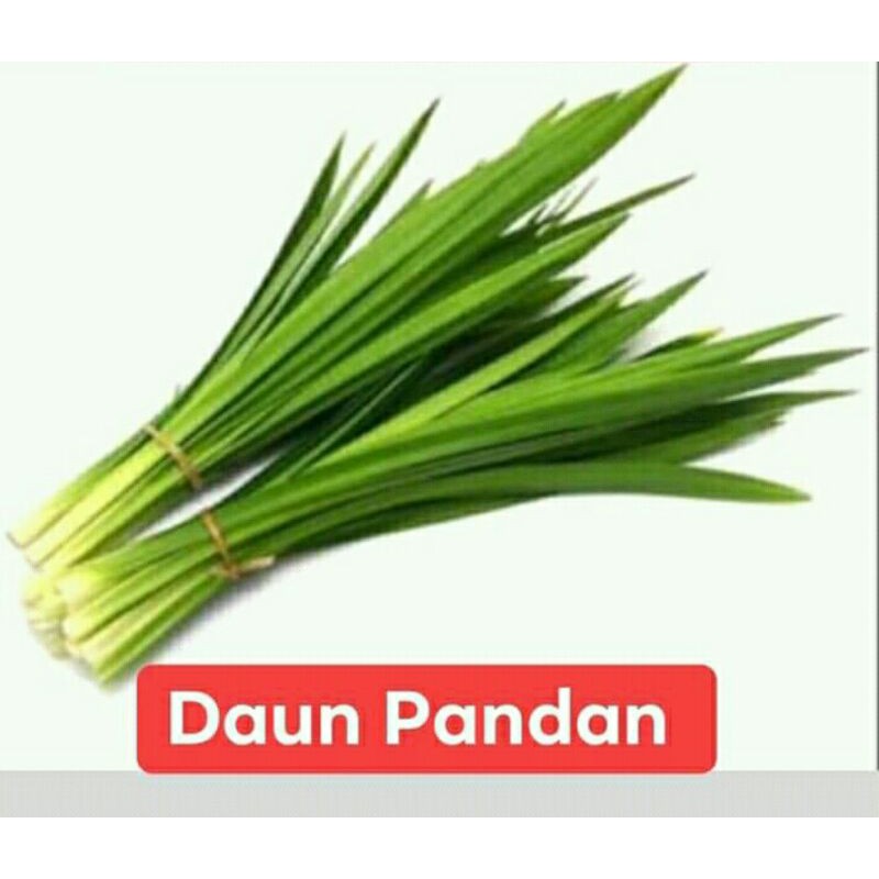 

daun pandan