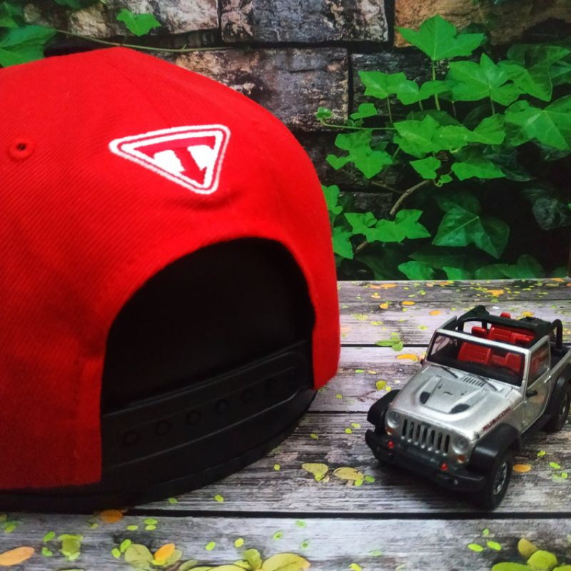 topi snapback TEAMLIFE badboy