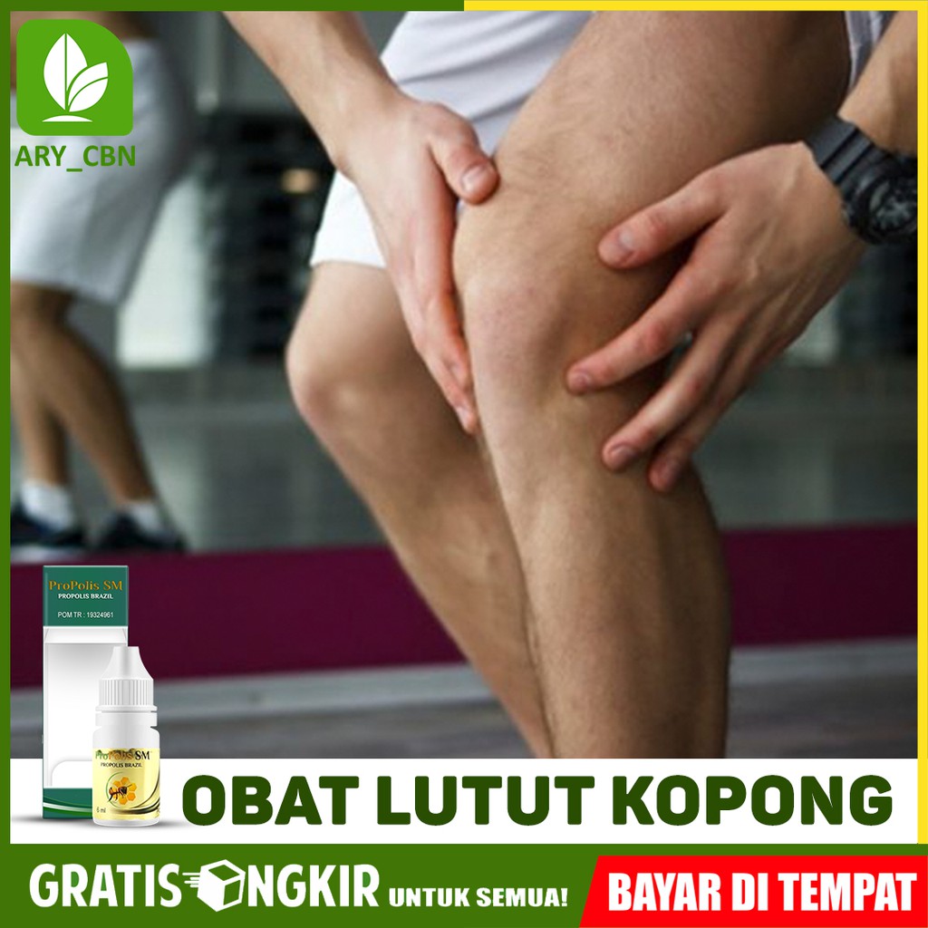 

Obat Lutut Kopong, Lutut Kaku Gemetar Panas Sendi Herbal Propolis SM Brasil Bisa COD Di Cirebon