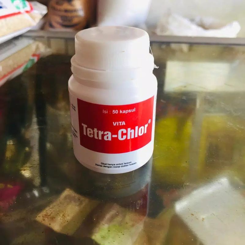 Obat ayam tetra-chlor