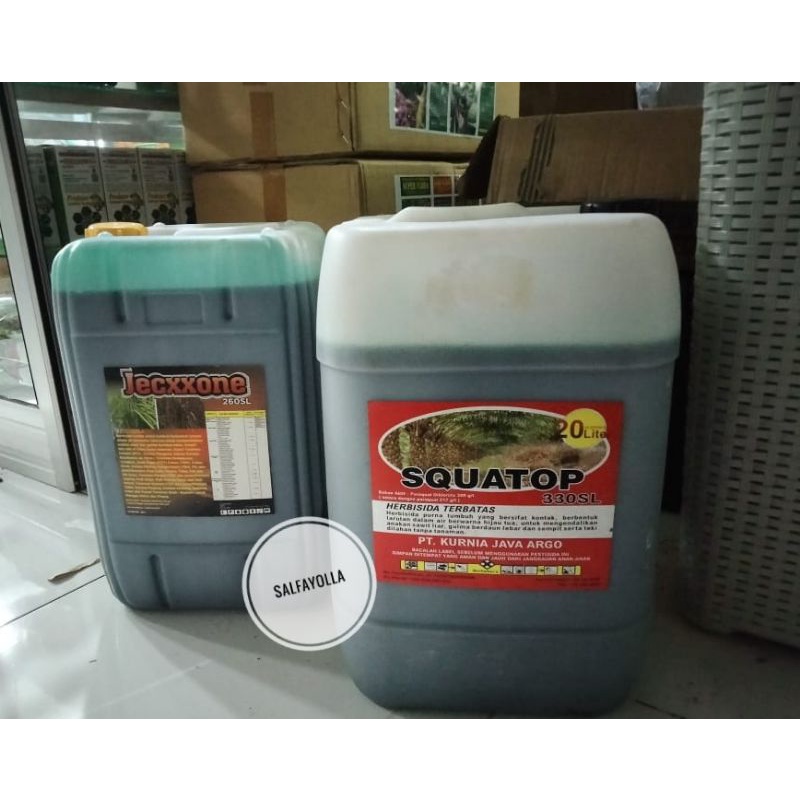 Herbisida SQUATOP 330 SL 20liter Obat Rumput Kontak Squatop