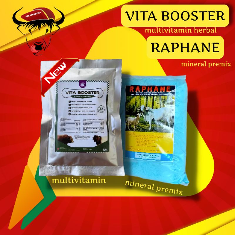 PAKET MULTIVITAMIN PREMIX VITA BOOSTER + RAPHANE.