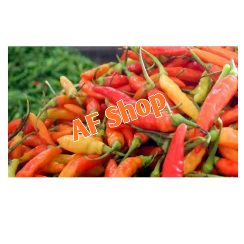 

Cabe rawit pedas 250gram/orange red spicy