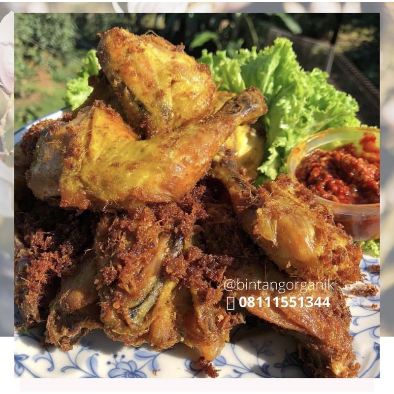 

Ayam Organik Ungkep Termurah
